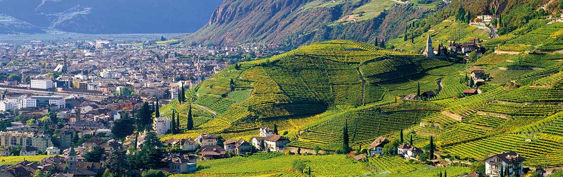 Südtirol erleben mit Berggut