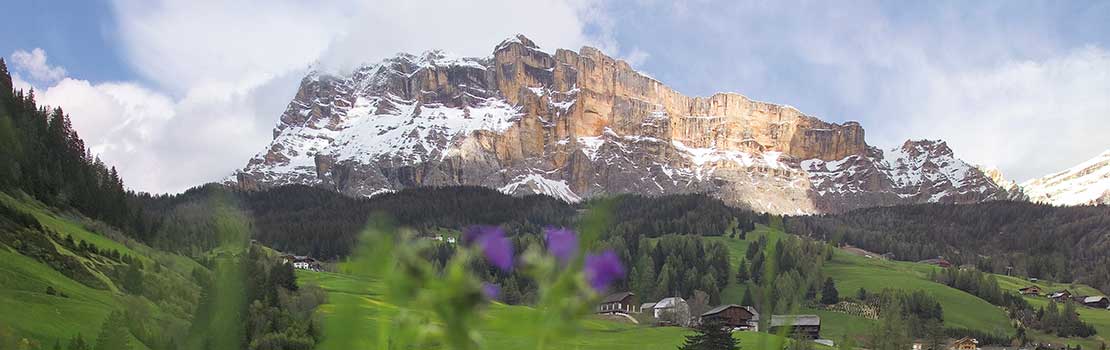 Südtirol erleben mit Berggut