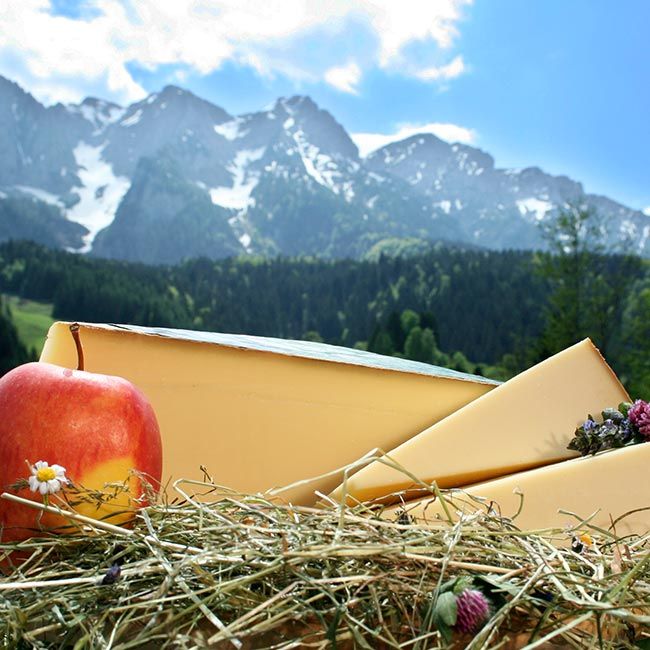 Goldgelber Tiroler Bergkäse g.U., seine rotgeschmierte Naturrinde verleiht ihm eine urige, authentische Ausstrahlung.