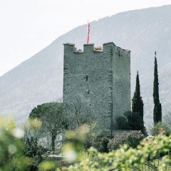 "Festival" Sauvignon Blanc DOC Kellerei Meran 0,75l