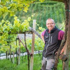 Pinot Grigio DOC Weingut Pardellerhof 0,75l