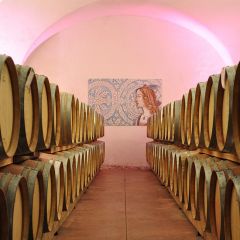 Pinot Grigio DOC Weingut Elena Walch 0,75l