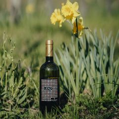 "Lenz" Cuvée weiß Weingut Ritterhof 0,75l
