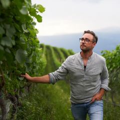 "Arenis" Gewürztraminer DOC Kellerei Kurtatsch 0,75l