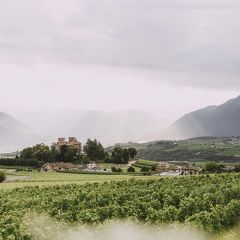 Weißburgunder Nova DOC Weingut Romen 0,75l