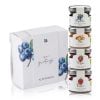 Alpe Pragas Bio Fruchtaufstrich Mini-Selection 4 Sorten im Geschenkkarton 4x30g