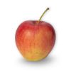 Apfel "Pinova" BIO à 2,5kg