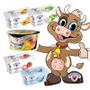 SET - "Sterzinger Joghurtspezialität" Vollmilchjoghurt fünf gemischte Sorten