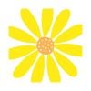 "Happy Flower Sun" Lunch-Servietten 33 x 33 cm