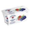 Waldfrüchte Vollmilchjoghurt 125g x 2