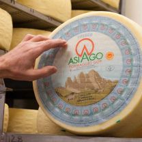 "Asiago DOP" Almkäse à 0,38kg
