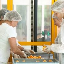 Bio Marillen-Fruchtaufstrich Alba mit Agavendicksaft 65% Frucht 220g