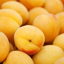 Marillen Fruchtaufstrich Alba 75% Frucht 110g