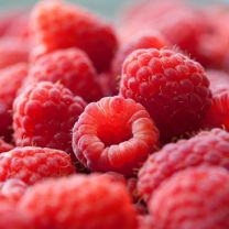 Bio Himbeer-Fruchtaufstrich Raspera mit Agavendicksaft 65% Frucht 220g
