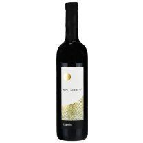 Mitterberg Lagrein IGT vom Weingut Spitalerhof aus Südtirol – elegant - kräftiger, trockener Rotwein aus 100 % Lagrein-Trauben.
