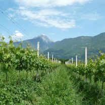 Gruberhof BIO