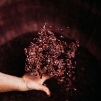 Lagrein Mitterberg IGT Weingut Spitalerhof 0,75l