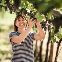 "Rynn" Cuvée Lagrein-Merlot IGT Weingut Ansitz Rynnhof 0,75l