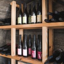 "V" Vernatsch BIO DOC Weingut Ansitz Rynnhof 0,75l
