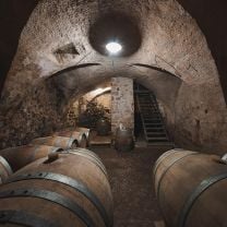 "Rynn" Cuvée Lagrein-Merlot IGT Weingut Ansitz Rynnhof 0,75l
