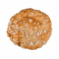 Schüttelbrot mit Rosmarin – handgeschüttelt 155g