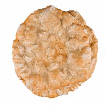 Schüttelbrot handgeschüttelt BIO 300g