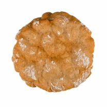 Schüttelbrot handgeschüttelt BIO 150g