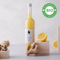 Ingwer Konzentrat BIO 0,5l