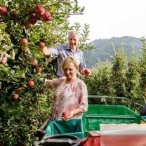 Bio Apfel-Quittensaft aus Südtirol 0,75l