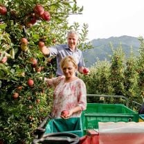 Bio Apfel-Rote-Bete-Saft aus Südtirol 0,75l