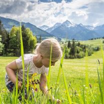 Bio Blütenmischung aus Südtirol 5g
