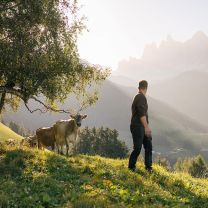 Metzgerei Südtirol