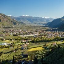 Naturtrüber Apfelsaft vom Gruberhof BIO 1l