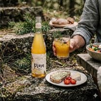 Apfel-Latschenkiefer Saft – Pina 0,75l