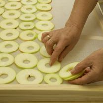 "Apfelringe mit Ingwer" Trockenobst aus Südtirol 50g