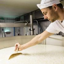 "Sissi" Weichkäse aus Ziegenmilch à 0,28kg
