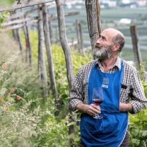 "Vinschgau" Vernatsch DOC Kellerei Meran 0,75l
