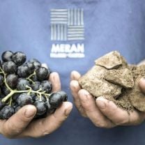"Graf" Blauburgunder DOC Kellerei Meran 0,75l