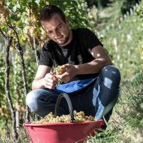"Festival" Weissburgunder DOC Kellerei Meran 0,75l
