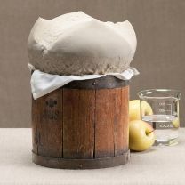 Bio Lievito Madre getrocknet – Weizensauerteig EVA 105g