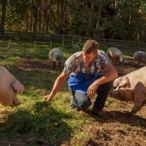  "Südtiroler Bergbauernspeck" Speck direkt vom Bergbauernhof Viertel à 0,66kg