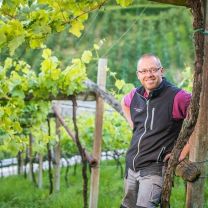 "Mitterberg" Rosé IGT Weingut Pardellerhof 0,75l