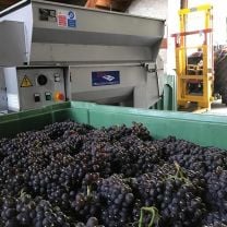 "Meraner" Vernatsch DOC Weingut Pardellerhof 0,75l