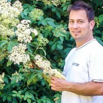 Holunderblüten-Gelee Aufstrich BIO 75% 230g