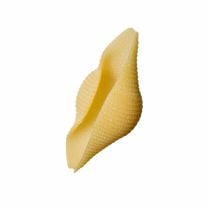 Conchiglioni Pasta aus Matt-Hartweizen BIO 500g