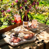 Sparkling Rocco Spicy Honey alkoholfreier Apfel-Aperitif mit Ingwer, Honig & Limette 0,75l