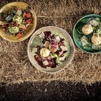 Frische Bio Spinatknödel aus Südtirol 320g