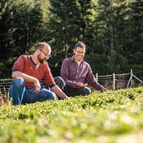Kräutertee Pure Höhenluft – 13 Teebeutel 13g