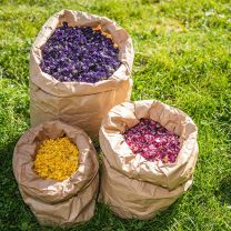 Kräutertee Bergliebe – 13 Teebeutel 13g