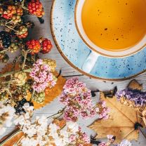 Bio Kräutertee Sommertraum aus Südtirol 18g